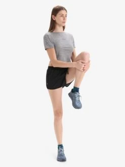 Icebreaker T-shirts Functioneel Shirt Dames Grijs -Hummel Winkel 1ff3c373e5e4601bc0ad858aed01e794