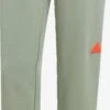 Adidas Sportswear Lange Broeken Regular Sportbroek City Escape Dames Mintgroen