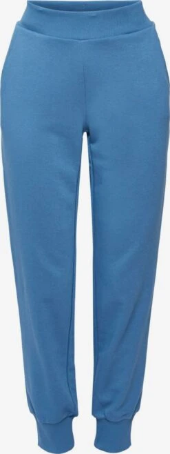 Lange Broeken Tapered Sportbroek Dames Blauw
